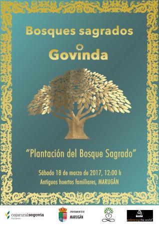 Imagen PLANTACIÓN DEL BOSQUE SAGRADO