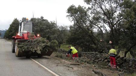 Imagen El Área de Acción Territorial centra su trabajo en las podas de arbolado para mejorar la seguridad de las vías provinciales
