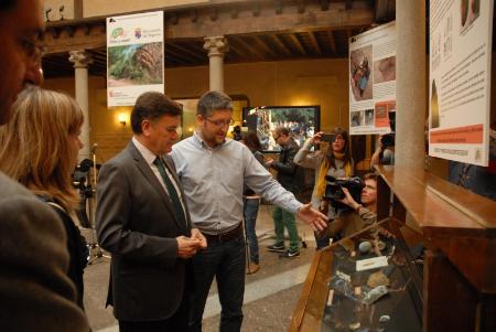 Imagen La Diputación acoge una exposición sobre los primeros pobladores segovianos