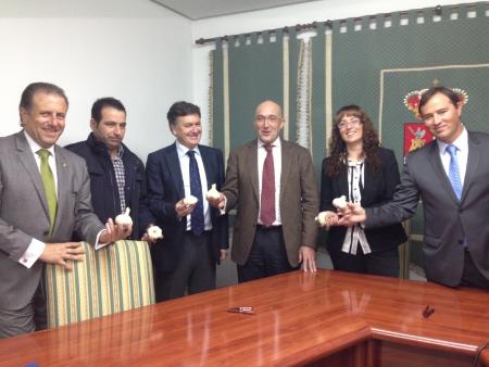 Imagen Las diputaciones de Segovia y Valladolid, y la Asociación para la promoción del ajo impulsan una mejora de su producción