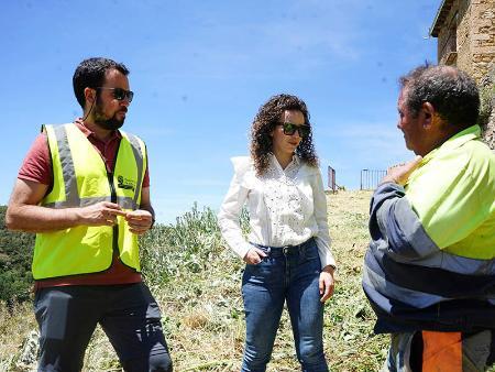 Imagen Las brigadas forestales de invierno de la Diputación han acondicionado hasta ahora más de treinta y tres hectáreas de superficie en un total de 114 municipios de la provincia