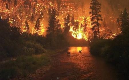 Imagen AMPLIACIÓN DECLARACIÓN ALERTA RIESGO DE INCENDIOS FORESTALES