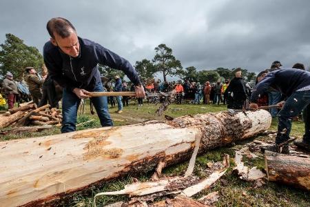 Imagen Gabarreros, flamenco y San Patricio, protagonistas del último fin de semana del invierno en la provincia